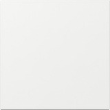 Gira Wippe gerade weiß, Retail