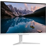 Medion AKOYA E27401 (MD62424), PC-System silber, Windows 11 Home 64-Bit