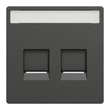 Merten Zentralplatte zweifach für Modular Jack anthrazit, Retail