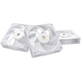 ASUS ProArt PF120, Gehäuselüfter weiß, 3er Pack, 120 mm