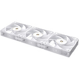 ASUS ProArt PF120, Gehäuselüfter weiß, 3er Pack, 120 mm