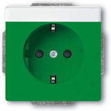 Busch-Jaeger Schutzkontakt Steckdosen Einsatz grün, Retail