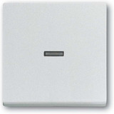 Busch-Jaeger Wippe 1789 Nummer 83 aluminium, Retail