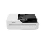 Epson WorkForce DS-1730, Flachbettscanner hellgrau/dunkelgrau, USB