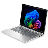 HP ProBook 4 G2i 14 AI (E04FVET), Notebook silber, Intel® Core™ 5 320, Intel® Graphics, 32 GB LPDDR5X, 512 GB (512 GB SSD), Windows 11 Pro