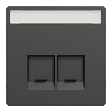 Merten Zentralplatte 2fach mit Schriftfeld und integrierten Verschlussschiebern anthrazit, Retail
