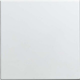 Busch-Jaeger Blindzentralscheibe 1576 C-914, Zentralplatte Retail