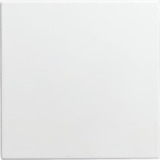 Busch-Jaeger Blindzentralscheibe 1576 C-914, Zentralplatte Retail