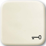 Busch-Jaeger Wippe mit Symbol Schlüssel weiß, Retail