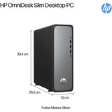 HP OmniDesk Slim S03-0053ng, PC-System schwarz/silber, Windows 11 Home 64-Bit