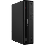 Lenovo ThinkCentre M70s Gen 6 (12YK000TGE), PC-System schwarz, Windows 11 Pro
