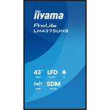 iiyama ProLite LH4375UHS-B2AG, Public Display schwarz (matt), UltraHD/4K, IPS, Lautsprecher, Daisy Chain