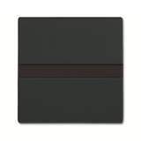 Busch-Jaeger Komfortschalter mit Orientierungslicht, Bewegungsmelder anthrazit, Retail