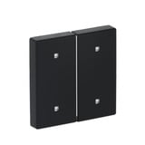 Busch-Jaeger Wippe zwei fach Elektroniktaster schwarz, Retail