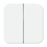 Busch-Jaeger Wippe aws Retail