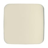 Busch-Jaeger Zentralscheibe neutral, Zentralplatte weiß, Retail