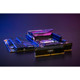 Crucial DIMM 32 GB DDR5-6000 (2x 16 GB) Dual-Kit, Arbeitsspeicher schwarz, CP2K16G60C36U5B, Pro Overclocking, INTEL XMP, AMD EXPO