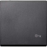 Merten Wippe Schlüssel für Wechselschalter Kreuzschalter und Taster Einsatz einteilig matt anthrazit, Retail