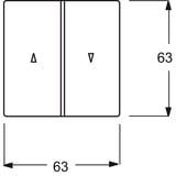 Busch-Jaeger Wippe für Jalousieschalter und Taster edelstahl, Retail