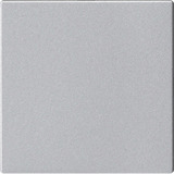 Gira Blindabdeckung ohne Tragring aluminium, Retail