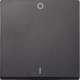 Merten Wippe Kennzeichen 0 und 1 für Wippschalter Einsatz anthrazit, Retail