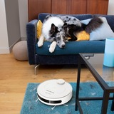 Rowenta X-plorer Serie 75 Total Care Connect RR7687, Saugroboter weiß, WLAN