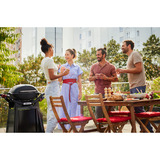 Weber Gasgrill Q 2800N+ mit Premium-Rollwagen schwarz, 5,28 kW, mit Seitentischen