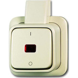 Busch-Jaeger Kontrollausschalter 2polig Aufputz 2601/2 SKAP weiß, Retail