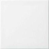 Busch-Jaeger Zentralscheibe neutral für ZETTLER VarioLine Einsätze Serie 127.xxx, Zentralplatte weiß, Retail