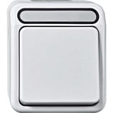 Merten Aus-Kontrollschalter zwei polig hellgrau, Retail