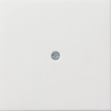 Gira Zentralplatte Schnurableitung glänzend Retail