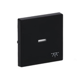0 Wippe mit Symbol Licht schwarz, Retail
