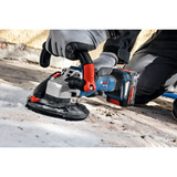 Bosch Expert Akku EXBA18V-80, 2 Stück schwarz, AMPShare Alliance