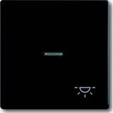 Busch-Jaeger Wippe mit Symbol Licht schwarz, Retail