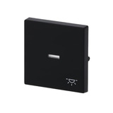 Busch-Jaeger Wippe mit Symbol Licht schwarz, Retail