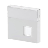 Busch-Jaeger Zentralscheibe mit Beschriftungsfeld, Abdeckung weiß (glänzend), Retail