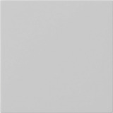 Gira Wippe einfach unbedruckt lackiert matt System 55 Bedienwippe Ersatz grau, Retail