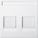 Merten Zentralplatte 2-fach mit Beschriftungsfeld weiß, Retail