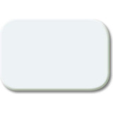 Busch-Jaeger Tastersymbol aws 2525 Nummer 214, Schalter weiß, Retail