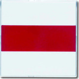 Busch-Jaeger Zentralscheibe davos signalieren 1573 CN-84, Zentralplatte weiß, Retail