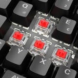 Sharkoon SKILLER SGK50 S2, Gaming-Tastatur schwarz, DE-Layout, Gateron Red