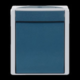 Busch-Jaeger Ausschalter zweipolig Aufputz mit Wippe, Basiselement mit Komplettgehäuse 2601/2 W-53 blaugrün, Retail