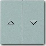 Busch-Jaeger Wippe für Jalousieschalter und Taster Retail