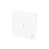 Busch-Jaeger Wippe mit Symbol Schlüssel mit transparenter Kalotte weiß, Retail