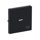 0 Wippe mit Symbol Licht anthrazit, Retail