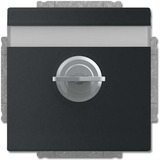 Busch-Jaeger Schutzkontakt-Steckdosen-Einsatz Typ F 20 EUKNBSL-885-101 schwarz, Retail