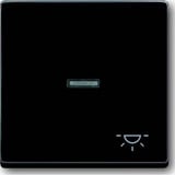 Busch-Jaeger Wippe mit Symbol Licht anthrazit, Retail