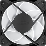 ARCTIC P12 Pro A-RGB LN, Gehäuselüfter schwarz, 120 mm