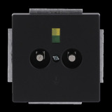 Busch-Jaeger Potentialausgleich Dose zweifach Unterputz schwarz (matt), Retail