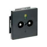 Busch-Jaeger Potentialausgleich Dose 2-fach Unterputz anthrazit, Retail